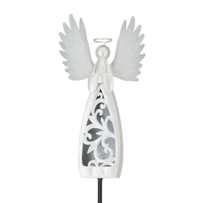 Angel Burst Solar Steak
