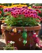 Regal Pot Hugger Set/3 – Gecko