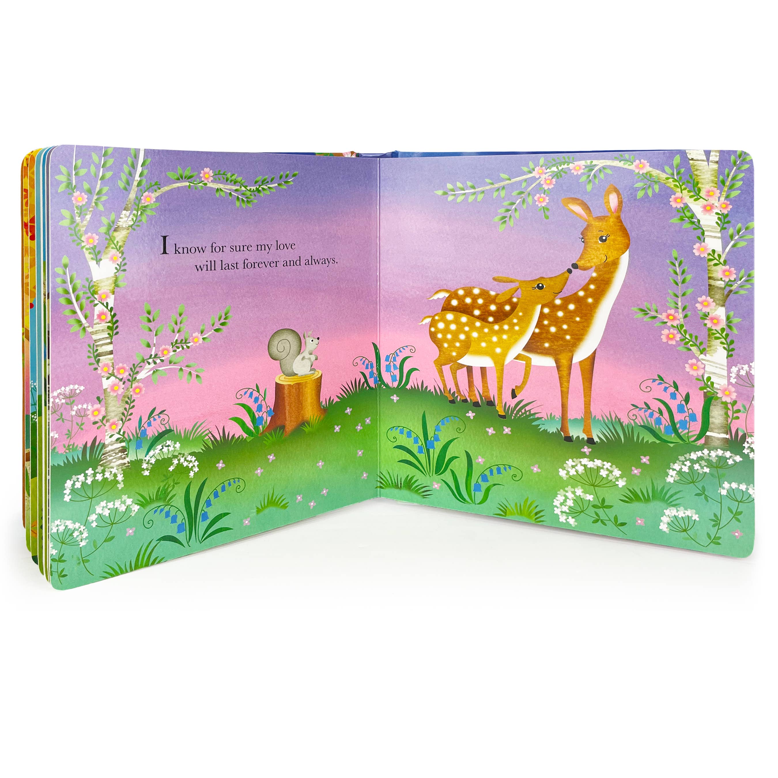 Grandma Wishes – Keepsake Padded Board Book