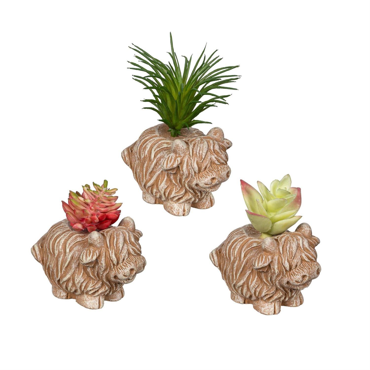 Petal & Plow Faux Floral Table Décor – Highland Cow Succulent (Assortment of 3)