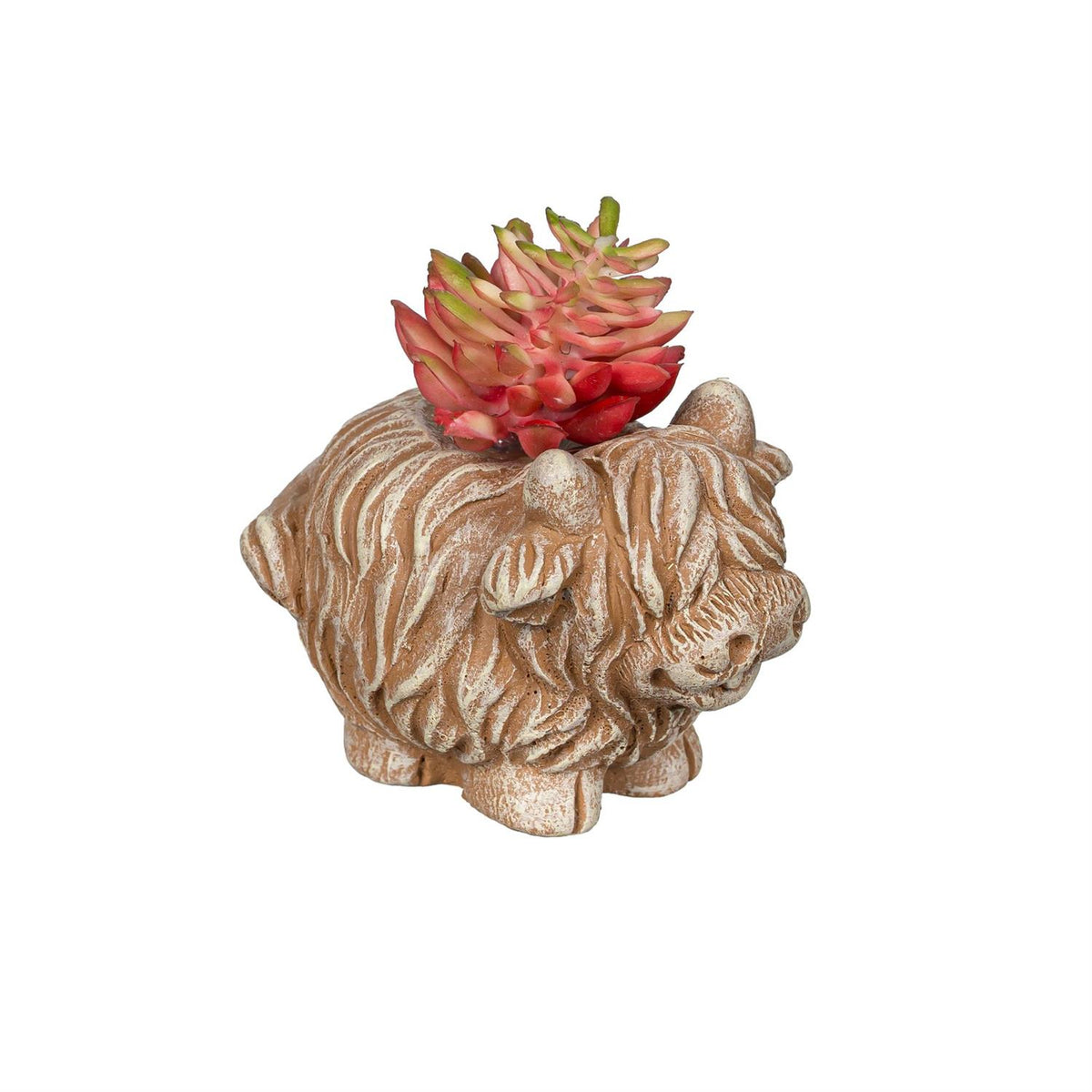 Petal & Plow Faux Floral Table Décor – Highland Cow Succulent (Assortment of 3)