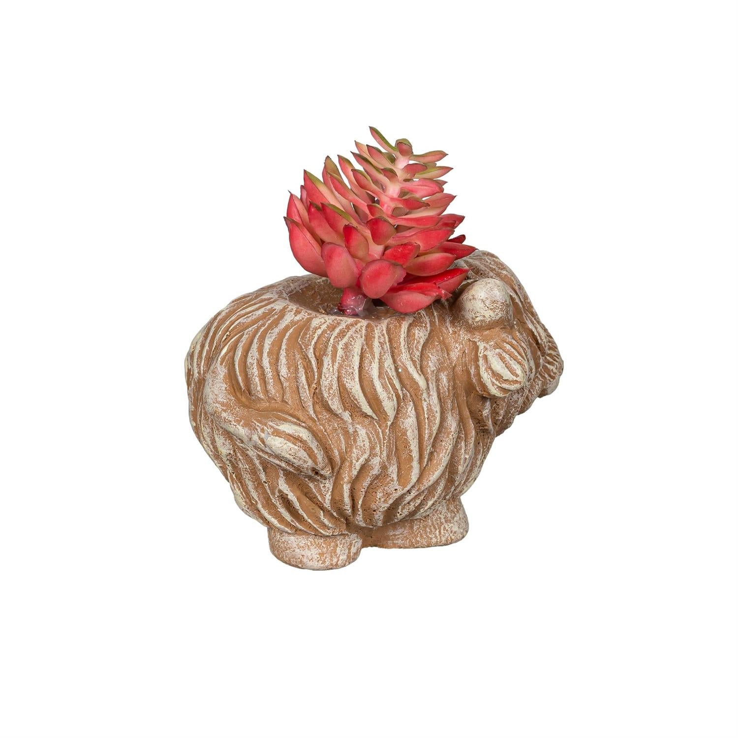 Petal & Plow Faux Floral Table Décor – Highland Cow Succulent (Assortment of 3)