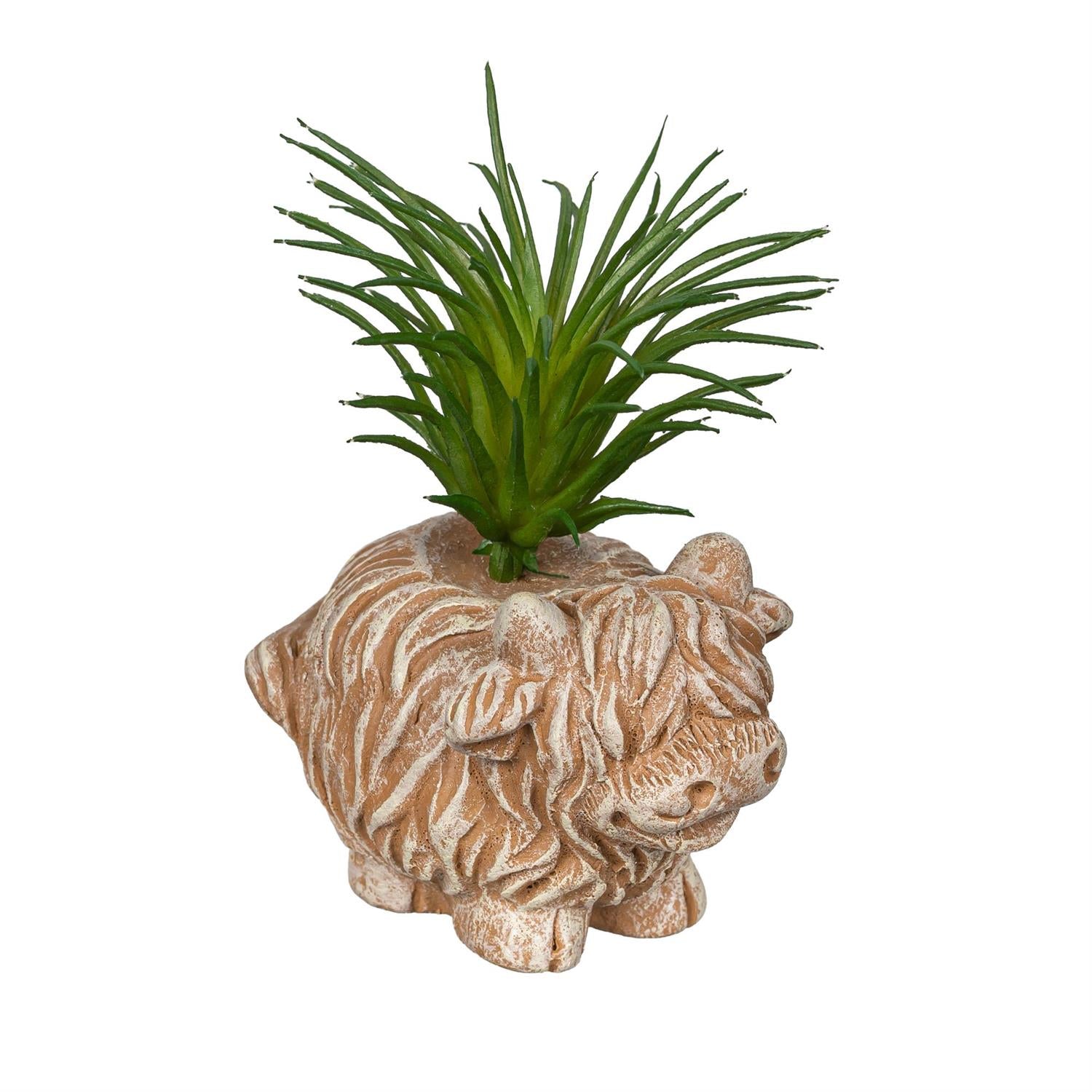 Petal & Plow Faux Floral Table Décor – Highland Cow Succulent (Assortment of 3)