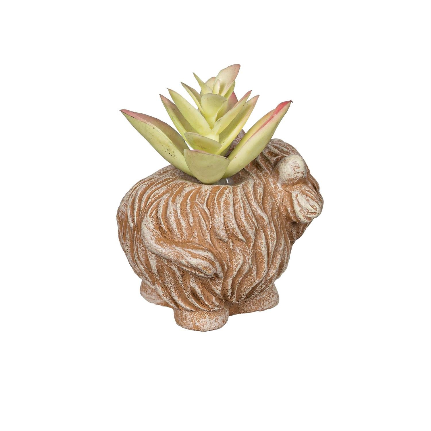 Petal & Plow Faux Floral Table Décor – Highland Cow Succulent (Assortment of 3)